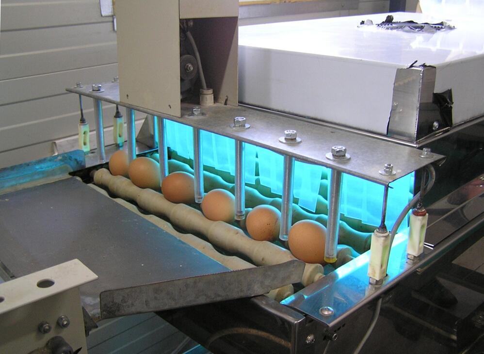 tojás fertőtlenítése